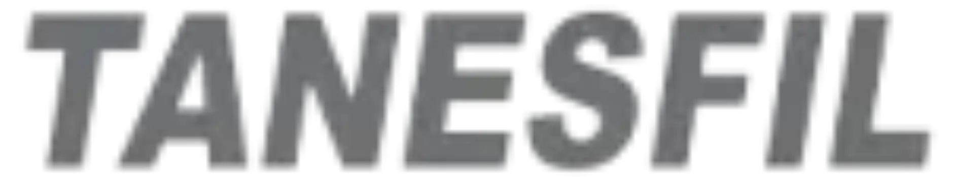 TANESFIL INDUSTRIA E COMERCIO LTDA